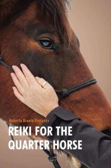 Reiki For The Quarter Horse