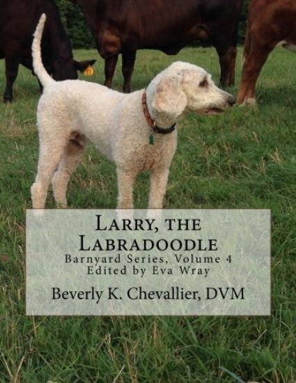 Larry, the Labradoodle