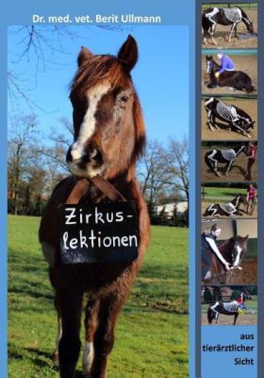 Zirkuslektionen: Zirkuslektionen aus tierärztlicher Sicht