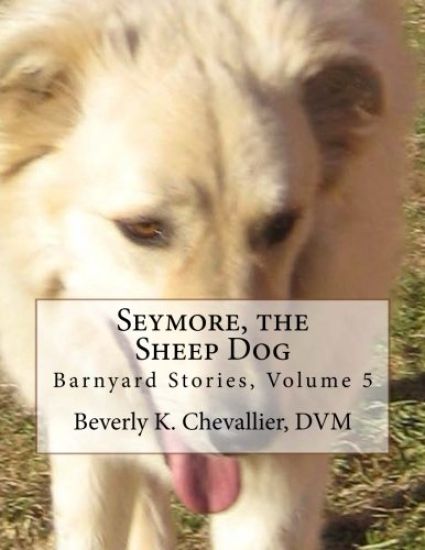 Seymore, the Sheep Dog