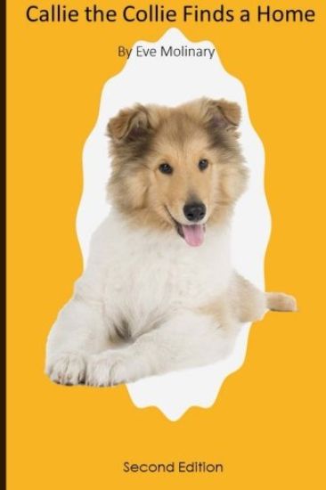 Callie the Collie Finds a Home