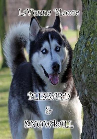 Blizzard & Snowball