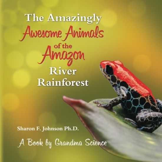 The Amazingly Awesome Animals of the Amazon River Rainforest