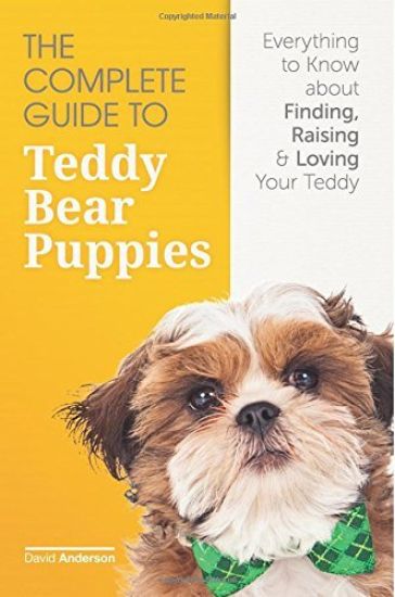 The Complete Guide To Teddy Bear Puppies