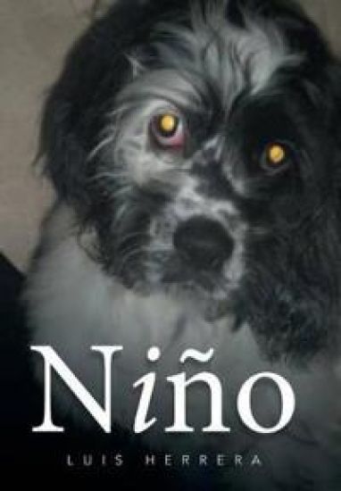 Niño