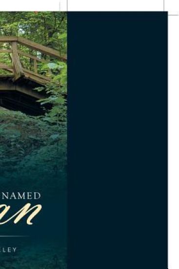 A Bridge Named Susan