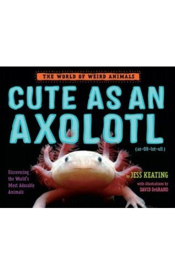 Cute as an Axolotl