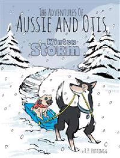 Winter Storm