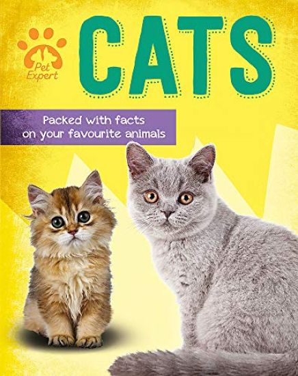 Pet Expert: Cats