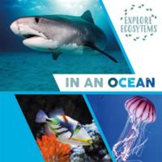 Explore Ecosystems: In an Ocean