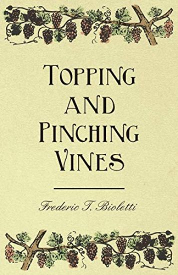 Topping and Pinching Vines