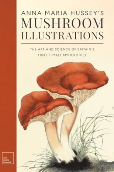 Anna Maria Hussey's Mushroom Illustrations