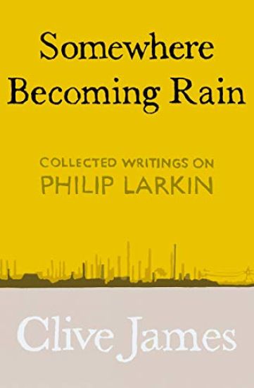 Somewhere Becoming Rain