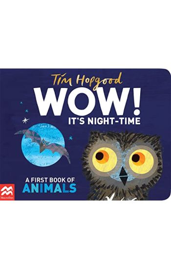 WOW! It's Night-time