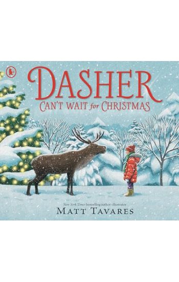 Dasher Can't Wait for Christmas