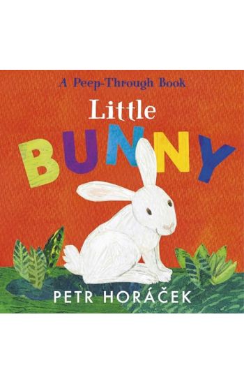 Little Bunny