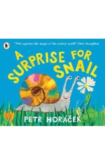 A Surprise for Snail