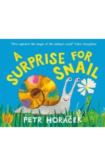A Surprise for Snail