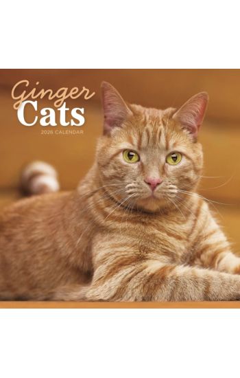 Ginger Cats - Rothaarige Katzen 2026 - Wand-Kalender