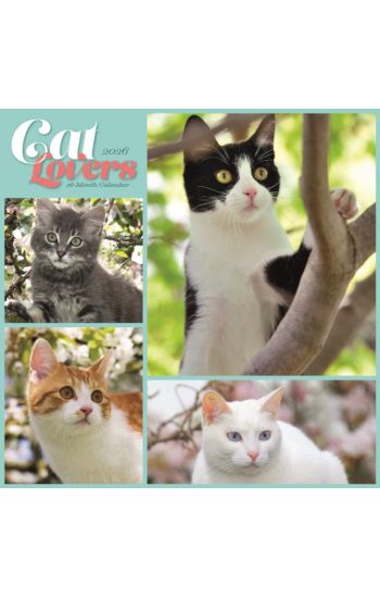 Cat Lovers: 12 X 12 Wall
