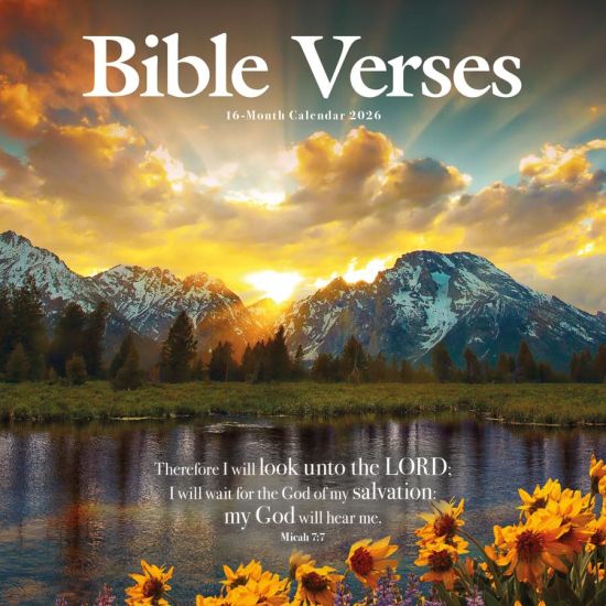 Bible Verses: 12 X 12 Wall