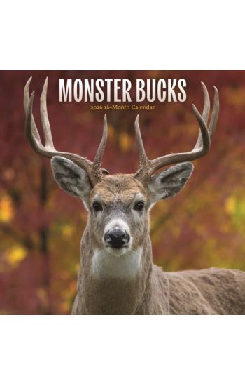 Monster Bucks Square Wall Sunday Start C