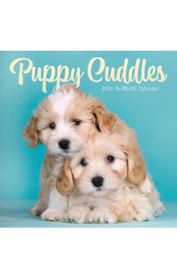 Puppy Cuddles Square Wall Sunday Start C