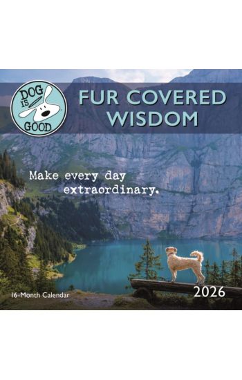 Dog Is Good Fur Wisdom: 7x7 Mini