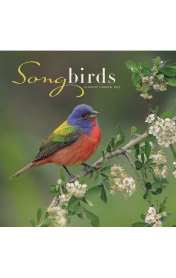 Songbirds: 12 X 12 Wall