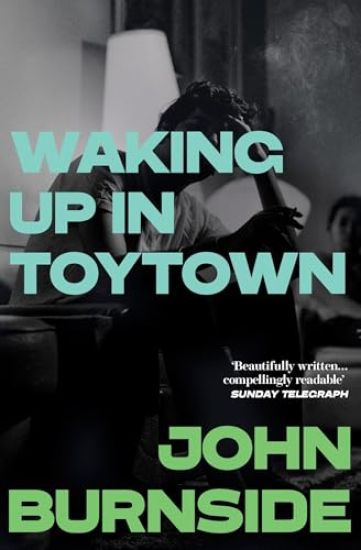 Waking Up in Toytown