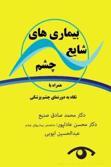 Eye Frequent Diseases With a Perspective on Ophthalmology