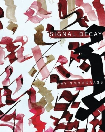 Signal Decay