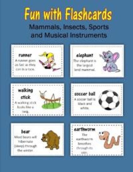 Fun with Flashcards
