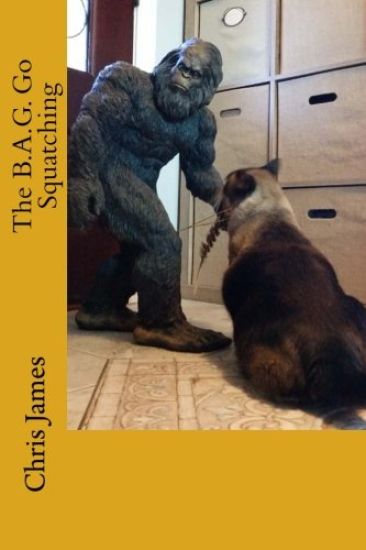 The B.A.G. Go Squatching