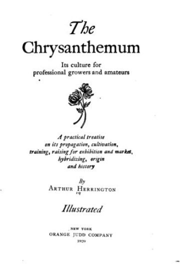 The Chrysanthemum, Its Culture for Professional Growers and Amateurs