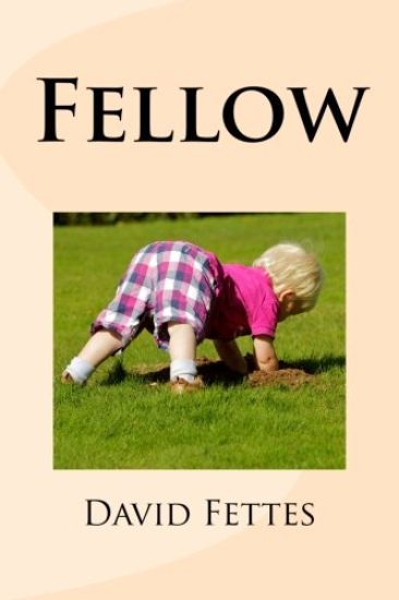 Fellow