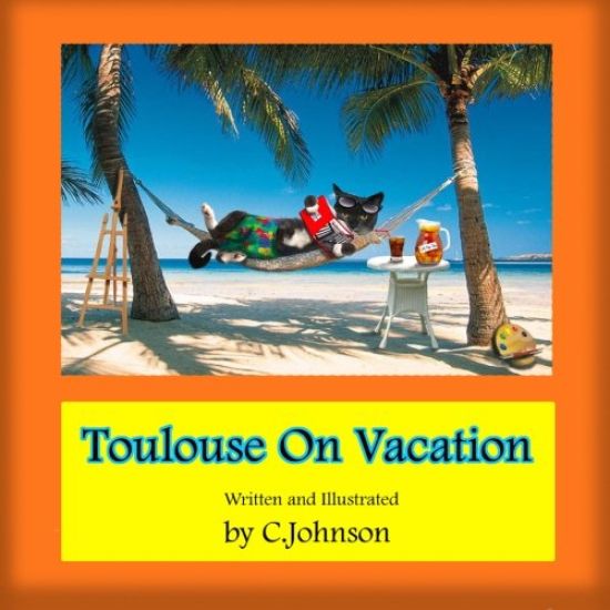 Toulouse On Vacation