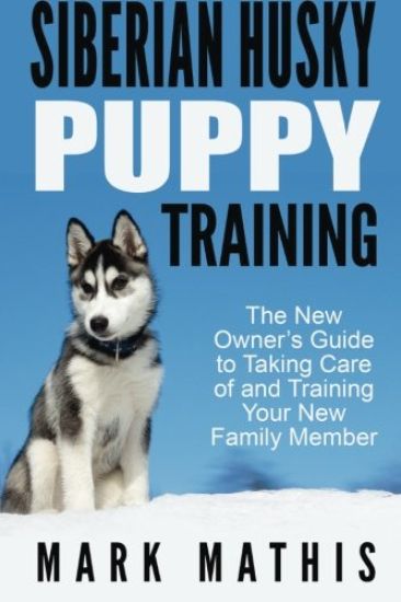 Siberian Husky Puppy Training