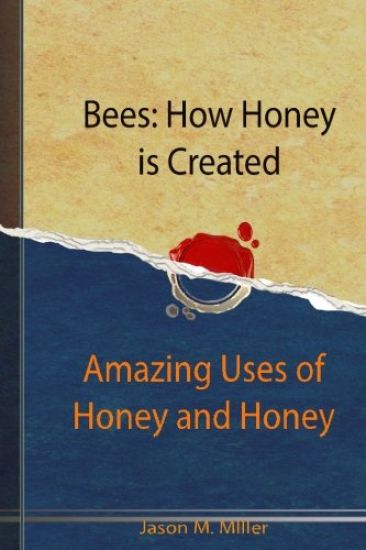Bees: How Honey is Created: Amazing Uses of Honey and Honey Recipes