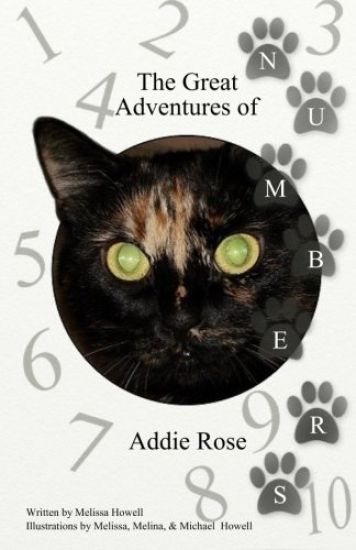 The Great Adventures of Addie Rose Numbers: Numbers