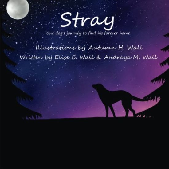 Stray: One dog's journey to find his forever home