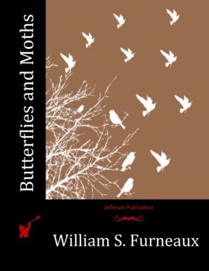 Butterflies and Moths