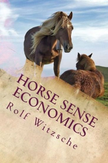 Horse Sense Economics: The Kaleidoscope Project