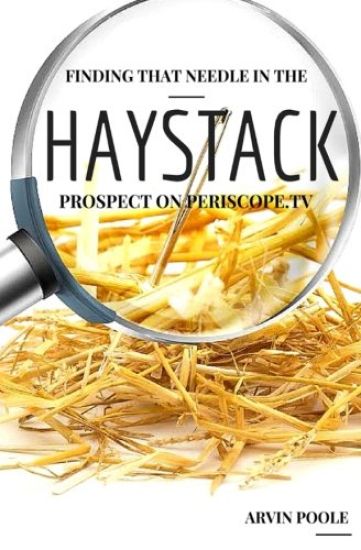 Finding That Needle in the Haystack Prospect on Periscope.TV