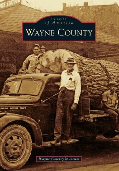 Wayne County