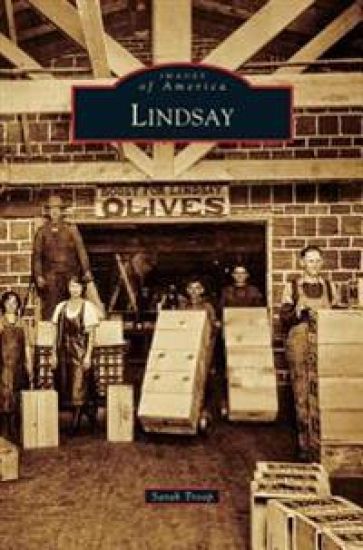 Lindsay