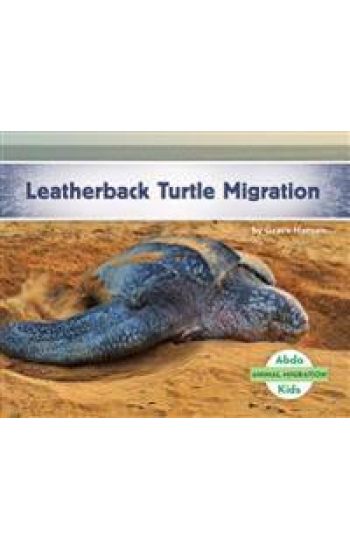 Leatherback Turtle Migration