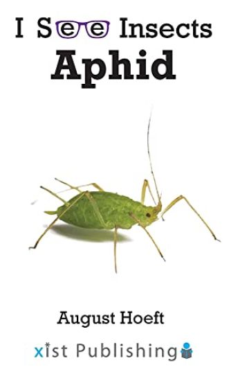 Aphid