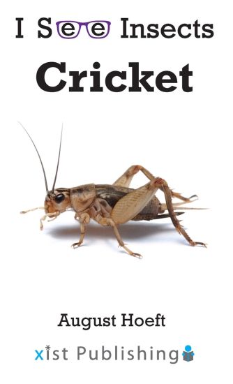 Cricket