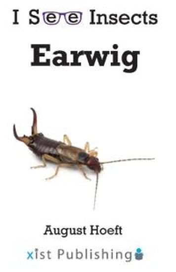 Earwig